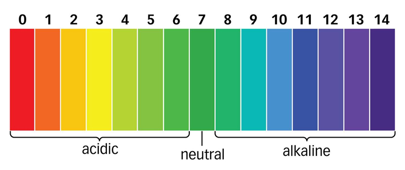 pH in swimming pools